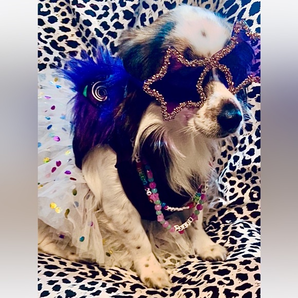 Meet your Posher, Felisha - Picture 4 of 13